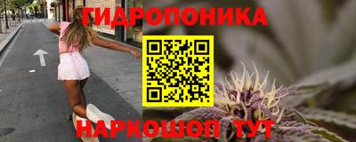 хмурый Пенза